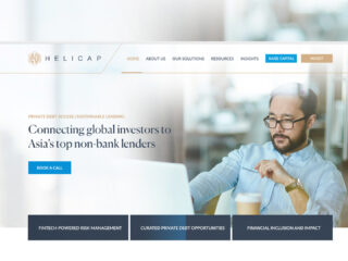 Helicap Investors Webdesign